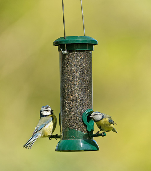 Bird Feeders for Feeding Wild Garden Birds RSPB Shop
